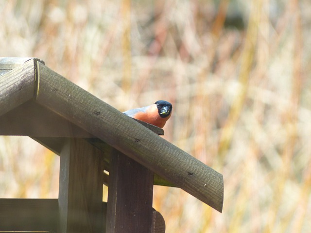 Mechanisms and Scientific Evidence for Appetite Control