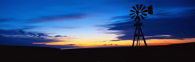 Clinical Safety Guidelines and Indications for Medical Consultation