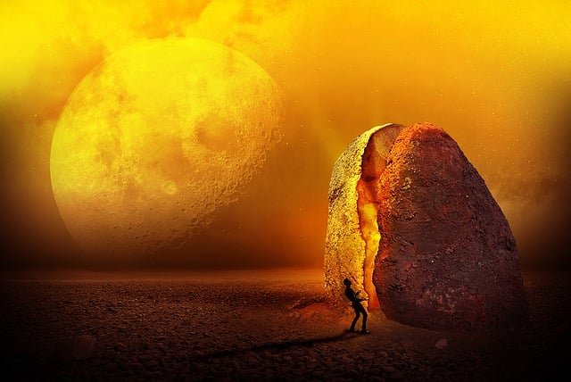 Evidence and Mechanisms: What Research Reveals About Cleanses