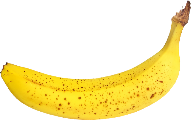 Health Monitoring and Professional Guidance