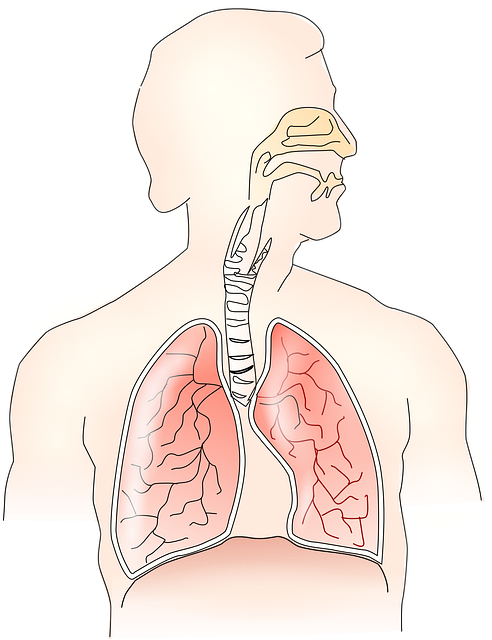 Safety Guidelines and When to Consult a Healthcare Provider