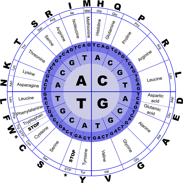 Mechanisms and Evidence Base