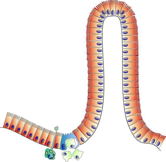 Evidence-Based Guidelines for Safe Consumption