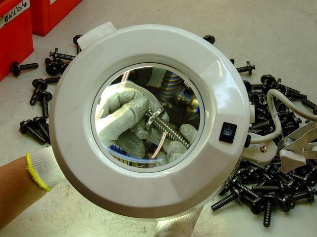 Introduction: The Sleep-Appetite Connection in Context