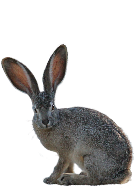 Safety Considerations and When to Consult Healthcare Providers