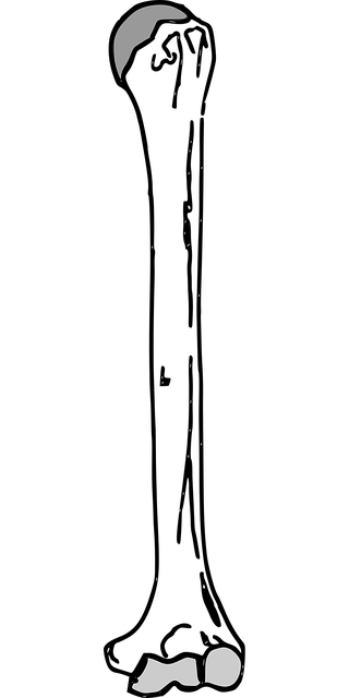 Safety Guidelines and When to Consult a Physician