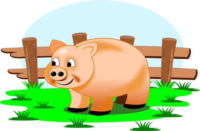 Mechanisms and Evidence on ACV Absorption in the Body