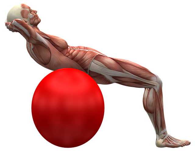 Risks, Contraindications, and Populations to Avoid