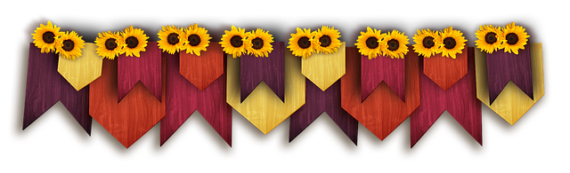 Risks, Contraindications, and Populations to Avoid