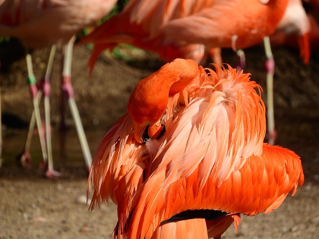 Risks and Contraindications for 3-Day Cleanses