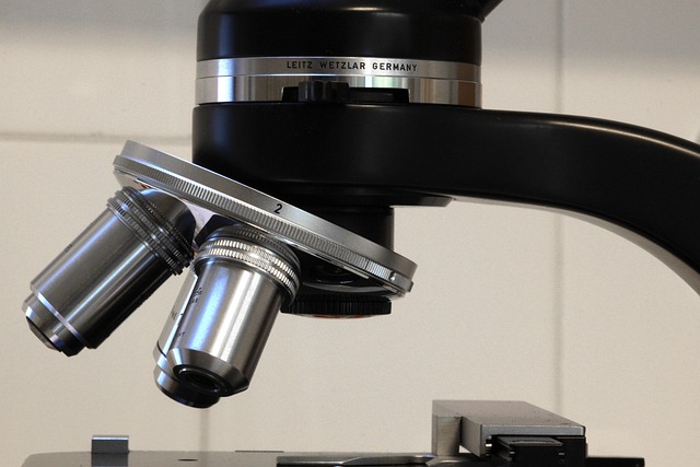 Evidence on Mechanisms Behind Satiety Enhancement