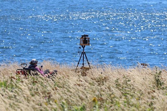 Berberine and Hunger Hormones: An Evidence-Based Introduction for 2026