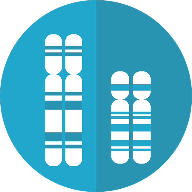 Evidence and Mechanisms of Berberine's Effects