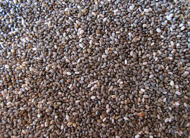 Introduction to Chia Seeds and Their Role in Appetite Regulation