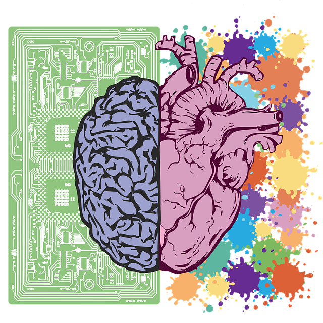 Safety Protocols and Indications for Medical Consultation