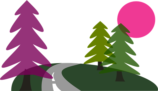 Introduction to HIIT and the 30-Day Fitness Framework