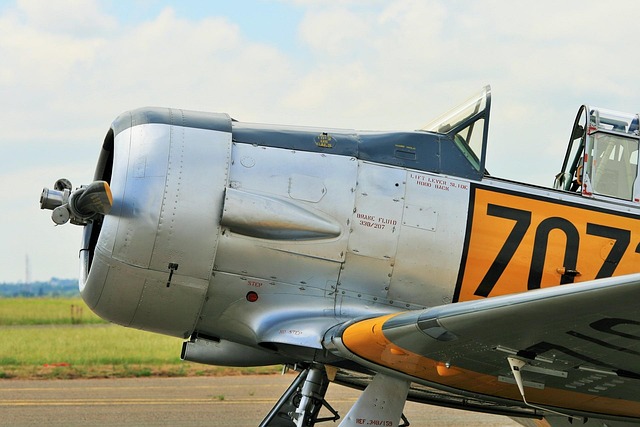 Evidence and Mechanisms of Hormonal Alterations