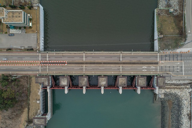 Scientific Evidence and Metabolic Mechanisms