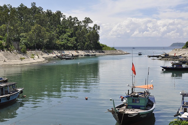 Practical Guidelines and User Insights