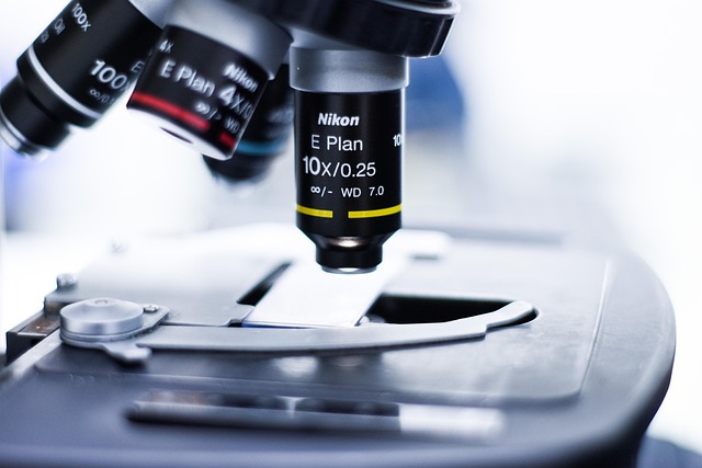 Potential Risks and Contraindications of Moringa Supplementation