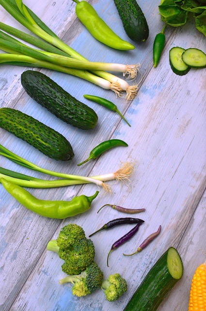 Introduction to Ketogenic Transition and Energy Management