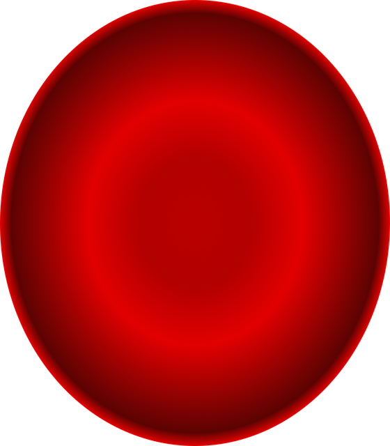 Introduction to Berberine and the 90-Day Personal Trial