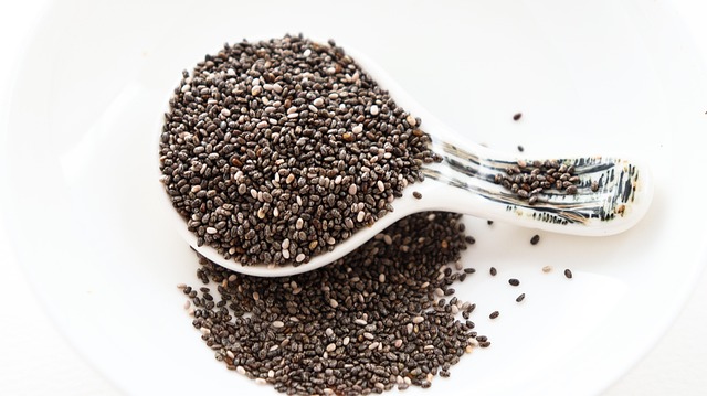 Introduction to Chia Seeds and the Keto Diet