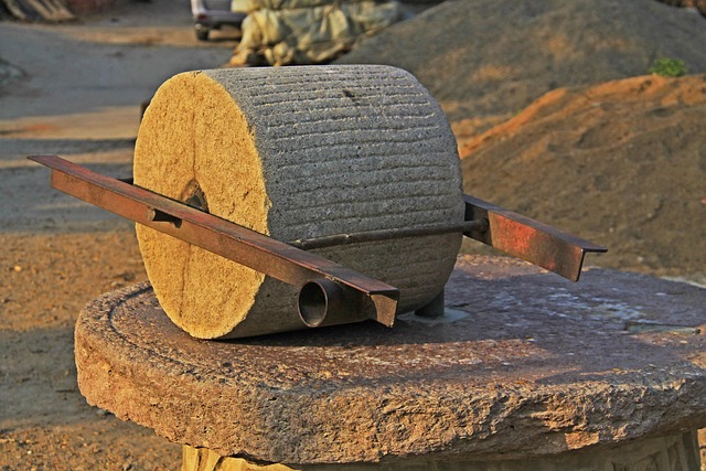 Evidence and Mechanisms: How Ozempic Influences Behavioral Adaptations