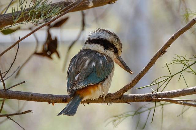 Safety Considerations and Indications for Medical Consultation