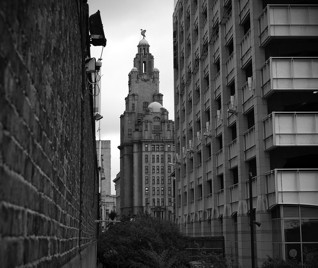 Evidence and Mechanisms Supporting Liver Health