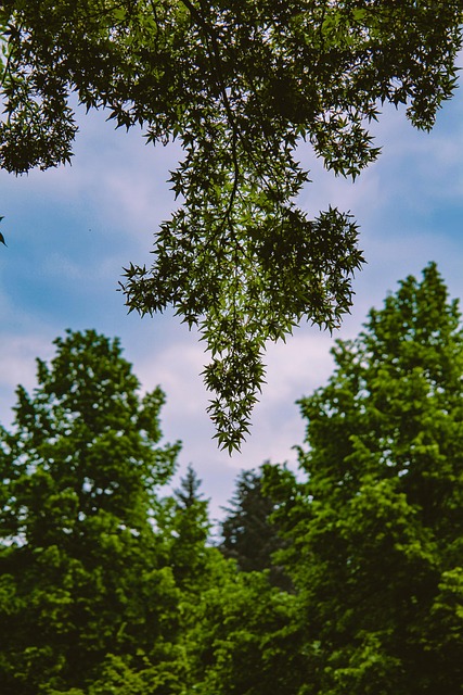 Practical Evidence-Based Integration Strategies