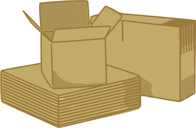 Evidence Base and Proposed Biological Mechanisms