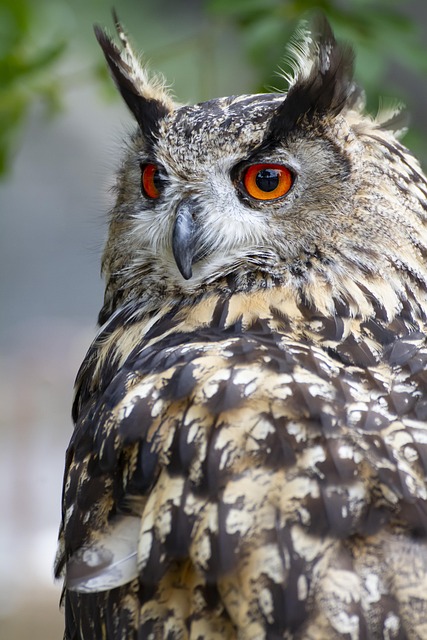 Scientific Evidence and Physiological Mechanisms