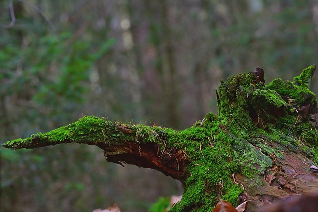 When to Seek Professional Guidance