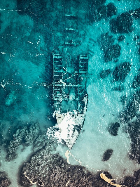 Identified Risks and Contraindicated Populations