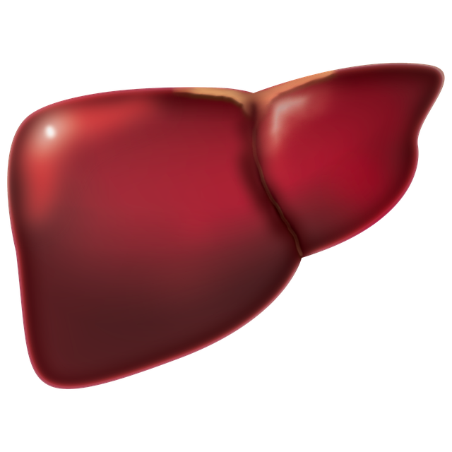 Safety Considerations and When to Consult a Physician