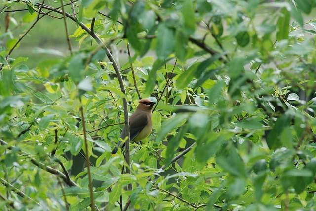 Practical and Balanced Recommendations