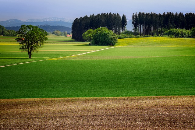 Practical Guidance for Safe and Effective Use