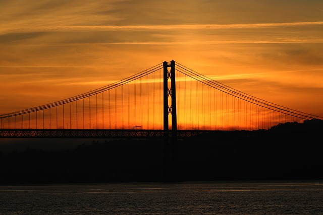 Potential Risks and Contraindications