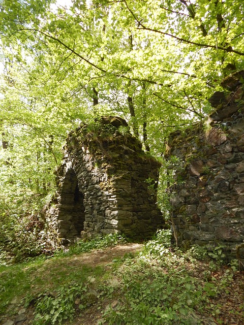 Evidence Base and Physiological Mechanisms