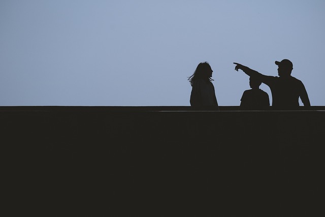 Introduction to Chia Seeds and Digestive Health