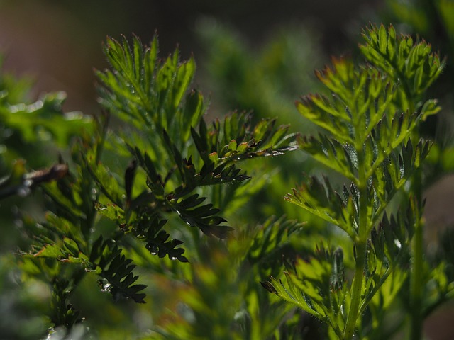 Safety Measures and When to Consult a Physician