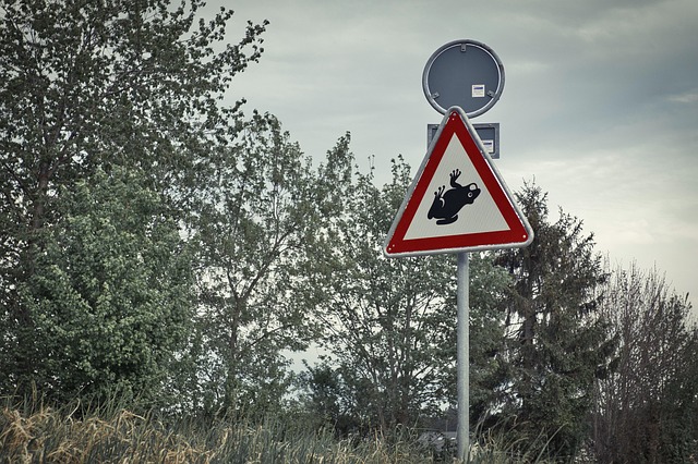 Evidence and Mechanisms: Physiological Impacts on Hormones