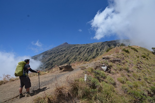 Introduction to Macro Tracking in Health Management