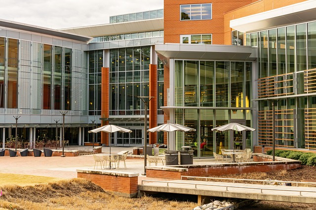 Risks and Contraindications for Supplement Stacks