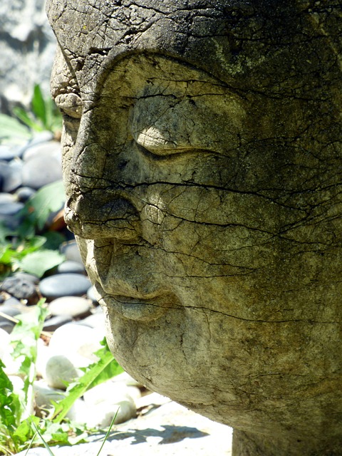 Practical Guidelines for a 30-Day Tai Chi Walking Routine