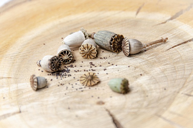 Risks, Side Effects, and Contraindicated Populations