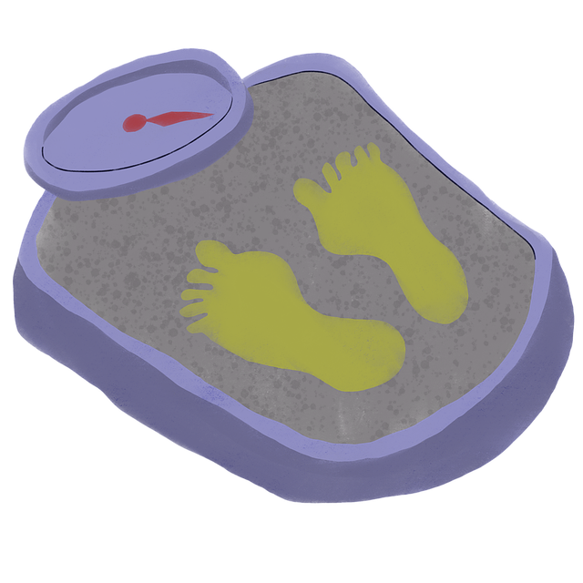 Introduction: The Role of High-Protein Breakfasts in Satiety and Health