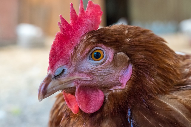 Introduction to Natural Appetite Control and Common Disruptions