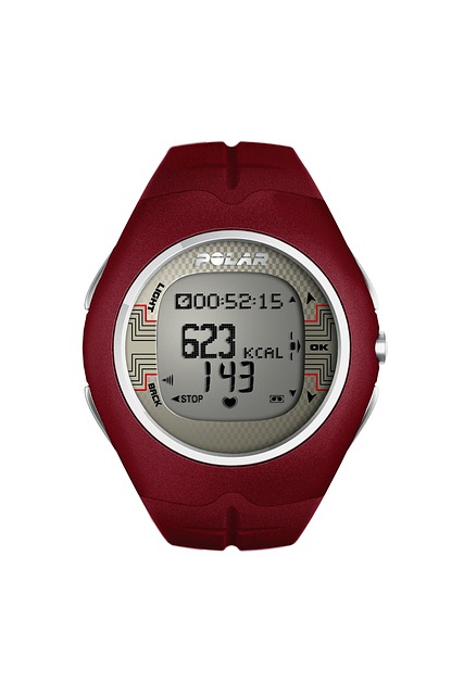 Practical Implementation of Three Targeted Cardio Sessions